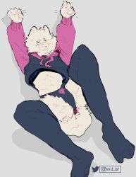  absurd_res anthro bone canid canine canis clothing crop_top domestic_dog fluffy fur hair hi_res legwear male mammal mid_bf paggi_outfit panties shadow shirt simple_background skull solo stretching tail thigh_highs topwear underwear white_body white_fur white_hair 