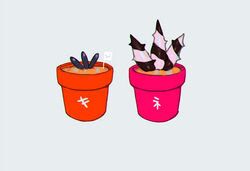  black_hair commentary flower_pot grey_background mini_flag multicolored_hair no_humans piers_(pokemon) pokemon pokemon_swsh raihan_(pokemon) rioru_(rioru_v_v) shiny simple_background soil two-tone_hair white_hair 