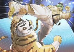  ankle_wraps anthro armband black_body black_fur black_stripes black_tail blocking bottomwear clothed clothing duo felid fight fighting_ring fist fur hair kick komori_megane mammal markings mask pantherine sports_mask sportswear striped_body striped_fur striped_markings striped_tail stripes swastika tail tail_markings teeth tiger topless wraps wrestler wrestling_mask wrist_wraps 