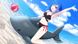  ;d aoi_thomas arm_up armpits ball bare_arms bare_shoulders beachball bikini black_bikini blue_hair blue_sky breasts cleavage cloud cloudy_sky commentary_request copyright_request day dutch_angle feet_out_of_frame female inflatable_shark inflatable_toy looking_at_viewer medium_breasts one_eye_closed open_mouth outdoors red_eyes shallow_water side-tie_bikini_bottom sky smile solo swimsuit transparent virtual_youtuber water 