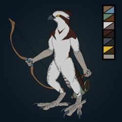  1:1 4_fingers 4_toes accipitriform ambiguous_gender anisodactyl anthro avian avian_feet beak bird bow_(weapon) brown_body brown_feathers brown_tail brown_tail_feathers color_swatch feathered_crest feathers feet fingers gradient_background gradient_feathers grey_beak grey_body grey_feathers grey_tail grey_tail_feathers head_crest hi_res holding_object holding_weapon male_(lore) markings model_sheet multicolored_body multicolored_feathers multicolored_tail multicolored_tail_feathers nude osprey quiver_(object) ranged_weapon scutes simple_background solo standing striped_feathers striped_markings striped_tail stripes tail tail_feathers tail_markings talons toes vulkalu weapon white_body white_feathers white_tail white_tail_feathers yellow_eyes 