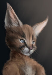  anthro blue_eyes canid canine canis domestic_dog felid feline half_naked hi_res looking_at_viewer lynx male mammal simple_background solo stampmats 