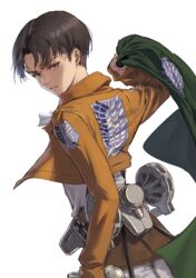  1boy arm_at_side athenawyrm back black_hair brown_eyes brown_hair brown_jacket cape cloak commentary cowboy_shot cropped_jacket curtained_hair emblem fingernails from_behind green_cloak highres holding holding_cape holding_clothes jacket levi_(shingeki_no_kyojin) long_sleeves looking_at_viewer looking_back machinery male_focus paradis_military_uniform parted_bangs parted_lips scarf scratches shingeki_no_kyojin short_hair simple_background solo survey_corps_(emblem) teeth three-dimensional_maneuver_gear unworn_cape unworn_cloak white_background wire 