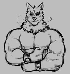  anthro canid canine dynogreeno fist flexing fur hi_res male mammal monochrome muscular muscular_male nipples smile solo steam wristband 