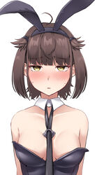  absurdres animal_ears black_leotard blush breasts brown_hair collarbone detached_collar fake_animal_ears female hair_flaps hatsuzuki_(kancolle) highres kantai_collection kiritto leotard medium_breasts open_mouth playboy_bunny rabbit_ears short_hair simple_background solo strapless strapless_leotard upper_body white_background yellow_eyes 