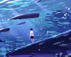  1boy black_hair black_shorts blue_theme bubble coral_reef fish highres humpback_whale male_focus ocean original scenery shirt short_hair shorts signature solo sperm_whale standing sunlight t-shirt taizo_(taizo_03) underwater whale white_shirt 