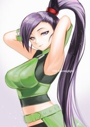  armpits arms_behind_head arms_up asakou_(n_morninglight) belt breasts choker closed_mouth commentary_request crop_top dragon_quest dragon_quest_xi female green_belt green_choker halterneck high_ponytail highres large_breasts lips long_hair looking_at_viewer martina_(dq11) midriff pink_lips ponytail purple_eyes purple_hair signature sleeveless smile solo twitter_username very_long_hair 