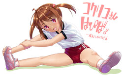  alternate_costume brown_eyes brown_hair buruma cameltoe coquelicot_(sakura_taisen) exercising female full_body gym_shirt gym_uniform hair_bobbles hair_ornament long_hair red_buruma sakura_taisen sakura_taisen_iii shirt shoes simple_background sitting smile sneakers socks solo stretching t-shirt takase_yuu twintails white_background white_shirt white_socks 