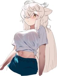  alternate_costume blue_shorts blush breasts extra_ears female hair_over_one_eye highres ieinu_account kemono_friends long_hair looking_at_viewer midriff navel orange_eyes ox_ears ox_girl ox_horns shirt short_shorts short_sleeves shorts sidelocks solo t-shirt tied_shirt twintails white_hair white_shirt yak_(kemono_friends) 