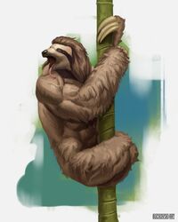  4:5 absurd_res anthro bamboo bamboo_tree brown_body brown_fur buckovskiart claws fantasy full-length_portrait fur hanging_from_branch hi_res male mammal muscular pilosan plant portrait sloth solo tired tongue tongue_out tree weretober xenarthran 