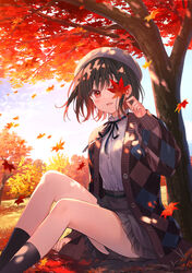  ankle_socks artist_name autumn autumn_leaves black_ribbon black_socks blush brown_hair cardigan commentary_request dappled_sunlight day falling_leaves female fukahire_(ruinon) highres holding holding_leaf leaf long_sleeves looking_at_viewer maple_leaf maple_tree neck_ribbon one_eye_covered open_cardigan open_clothes original outdoors parted_lips plaid_cardigan puffy_long_sleeves puffy_sleeves red_eyes ribbon shirt shirt_tucked_in sitting socks solo sunlight thighs tree under_tree white_headwear white_shirt 