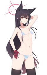  absurdres animal_ears armpits bikini black_hair black_thighhighs blue_archive blush breasts closed_mouth collarbone commentary cowboy_shot extra_ears female fox_ears gloves hair_between_eyes halo highres long_hair looking_at_viewer miso_(misomiso_154) navel red_eyes red_gloves red_halo side-tie_bikini_bottom simple_background small_breasts solo striped_bikini striped_clothes swimsuit thighhighs white_background yukino_(blue_archive) 