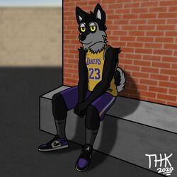  1:1 2020 anthro athletic_wear black_body black_fur black_nose black_sclera bottomwear canid canine canis clothed clothing competition_number domestic_dog english_text footwear fur hi_res husky jersey jordan_(brand) legwear looking_at_viewer los_angeles_lakers male mammal nba nike nordic_sled_dog number number_on_clothing number_on_jersey number_on_topwear number_print outside print_clothing print_jersey print_topwear shirt shorts sitting socks solo spitz text text_on_clothing text_on_jersey text_on_shirt text_on_topwear text_print thehuskyk9 thehuskyk9_(artist) topwear white_body white_fur yellow_eyes 