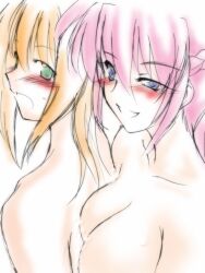  1boy artist_request blonde_hair blush breasts censored cleavage convenient_censoring female green_eyes long_hair lyrical_nanoha mahou_shoujo_lyrical_nanoha mahou_shoujo_lyrical_nanoha_a&#039;s naked nude pink_hair ponytail signum smile soap yuuno_scrya 