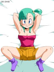  blue_eyes blush breasts bulma_briefs dragon_ball footwear green_hair looking_at_viewer old_school_academy smile socks solo spread_legs 