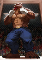  abs anthro bear bottomwear boxing boxing_tape brown_bear chest_scar clothed clothing crowd denim denim_bottomwear denim_clothing eye_scar facial_scar fighting_pose fighting_ring full-length_portrait grizzly_bear group gus_(grizzlygus) hi_res jeans kodiak_bear male mammal muscular muscular_anthro muscular_male pandarita pants pecs portrait pose scar solo sport topless topless_male ursine 