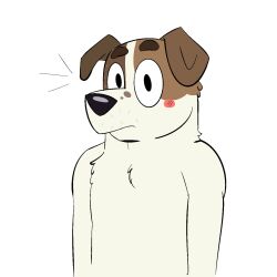  2023 anthro beargarbage black_eyes black_nose bluey_(series) blush brown_body brown_ears brown_fur canid canine canis digital_media_(artwork) domestic_dog fur hi_res hunting_dog jack&#039;s_dad_(bluey) jack_russell_terrier looking_at_viewer male mammal multicolored_body multicolored_fur simple_background solo standing terrier white_background white_body white_fur 