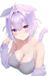  absurdres ahoge animal_ear_fluff animal_ears blush breasts camisole cat_cutout cat_ears cat_girl cat_tail cleavage clothing_cutout collarbone female grey_camisole hair_between_eyes highres holding hololive jacket large_breasts long_sleeves looking_at_viewer mimikaki nekko_96 nekomata_okayu nekomata_okayu_(membership) official_alternate_costume purple_ears purple_eyes purple_hair purple_jacket short_hair simple_background solo tail virtual_youtuber white_background 