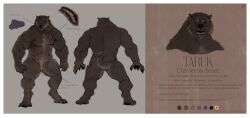  absurd_res anthro ass bear brown_body brown_fur claws fur hi_res hierro_(artist) information_board male mammal model_sheet muscular muscular_anthro muscular_arms muscular_legs muscular_male muscular_thighs muscular_top pawpads paws pecs scar simple_background solo tail text toe_claws 