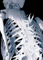  absurdres black_background bone feathered_wings feathers highres no_humans original simple_background skeleton white_feathers white_wings wings ye_(ran_chiiipye) 