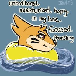  1:1 ambiguous_gender brown_eyes buizel english_text feral floating flotation_sac fur generation_4_pokemon headshot_portrait ixen_blazetail_(artist) mammal markings meme mustelid nintendo orange_body orange_fur otter partially_submerged pokemon pokemon_(species) portrait signature solo tan_body tan_fur text water whisker_markings 