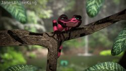  16:9 2017 3d_(artwork) 3d_animation 4_toes ambiguous_gender amphibian animated arm_support black_body black_skin black_stripes blinking blue_sky_studios branch digital_media_(artwork) eyelashes feet feral forest frog front_view full-length_portrait gabi_(rio) green_eyes in_tree jamesanimeking jungle lake leaf leaning_on_elbow looking_away loop low_res multicolored_body multicolored_skin nature no_sclera nude on_branch pink_body pink_skin pink_stripes plant poison_dart_frog portrait quadruped raised_leg rio_(series) short_playtime sitting smile solo striped_body striped_skin stripes thinking toe_wiggle toes tree tree_frog two_tone_body two_tone_skin waterfall widescreen 