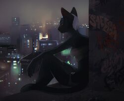  anthro biped black_body black_fur bored building city cityscape clothed clothing digital_media_(artwork) domestic_cat felid feline felis female fur graffiti hair high_place looking_away mammal orphen-sirius outside portrait sheega sitting sitting_on_ground solo three-quarter_portrait white_hair 