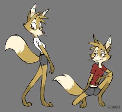  2023 anthro bottomwear canid canine clothing countershading digital_drawing_(artwork) digital_media_(artwork) ear_piercing female fox fur grey_background mammal nora_(serareldeer) piercing serareldeer shirt shorts simple_background solo topwear whiskers yellow_body yellow_fur 