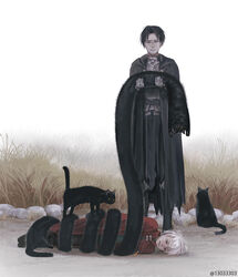  2boys anatomical_nonsense animal armor black_cat black_cloak black_hair bound cloak closed_eyes closed_mouth feline gauntlets jewelry longcat_(meme) lying male_focus meme monokubo multiple_boys necklace on_side original outdoors red_cloak red_eyes rock sitting standing tacgnol tied_up_(nonsexual) upside-down white_hair 