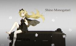  absurdres bakemonogatari barefoot black_dress black_ribbon blonde_hair bow cape casket coffin dress feet female flower fooring gloves hair_ornament hairbow hat highres lily_(flower) long_hair monogatari_(series) oshino_shinobu pointy_ears ribbon sitting soles solo watermark yellow_eyes 