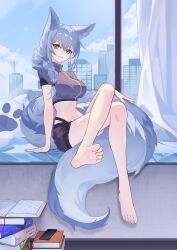  animal_ears arknights arm_support bare_legs barefoot black_gloves black_shorts blue_hair blue_sky book book_stack city cloud commentary_request crop_top crossed_legs day female gloves highres indoors large_tail long_hair looking_at_viewer midriff navel provence_(arknights) provence_(xz002) purple_shirt shirt short_shorts shorts sitting sky solo stomach tail turtleneck wolf_ears wolf_tail yellow_eyes 