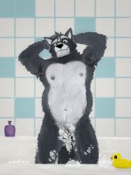  adastra adastra_(series) adrian_ikz amicus_(adastra) anthro bath bathing belly bubble_bath canid canine canis covering covering_crotch echo_project emperor feral furry hi_res humanoid male male/male mammal messy muscular nude royalty shirtless shirtless_anthro shirtless_male solo wet wolf 