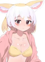  :3 absurdres animal_ears bikini blonde_hair blush breasts brown_eyes extra_ears female fennec_(kemono_friends) fox_ears hair_between_eyes highres jacket kemono_friends large_breasts looking_at_viewer multicolored_hair pink_jacket short_hair solo swimsuit tenkiamesoda white_hair yellow_bikini 