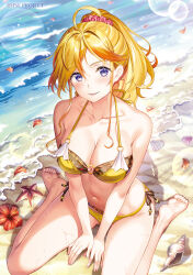  ahoge bare_arms bare_legs bare_shoulders barefoot beach between_legs bikini black_bikini blonde_hair breasts cleavage commentary_request conch day female flower fujima_takuya hand_between_legs highspeed_etoile layered_bikini long_hair medium_breasts official_art on_ground outdoors parted_bangs parted_lips petals ponytail purple_eyes red_flower sand seashell shell side-tie_bikini_bottom sitting smile soles solo sophia_b_tokitou starfish swimsuit twitter_username wariza water yellow_bikini 