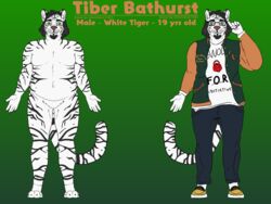  4:3 anthro clothed clothing english_text eyewear facial_hair felid fur glasses goatee green_eyes hi_res jacket letterman_jacket male mammal pantherine slightly_chubby solo stocky stripes text tiberious_bathurst tiger topwear white_body white_fur 