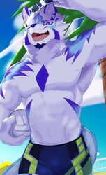  abs anthro beach blue_eyes bottomwear canid canine clothing fur hi_res ho_jiro lifewonders live_a_hero male mammal multicolored_body multicolored_fur muscular muscular_anthro muscular_male navel neck_tuft pecs sadayoshi seaside shorts solo sport swimwear tuft volleyball 