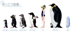  adelie_penguin barefoot bilingual bird blonde_hair blush emperor_penguin feet female flat_chest hair_bobbles hair_ornament height_chart height_difference highres humboldt_penguin irui_guneden legs lineup little_penguin lolicon mixed-language_text nakamura_kanko one-piece_swimsuit penguin profile rockhopper_penguin school_swimsuit short_hair short_twintails sidelocks simple_background snowflakes standing stuffed_animal stuffed_penguin stuffed_toy super_robot_wars swimsuit twintails white_background yellow_eyes 