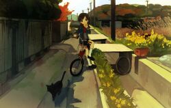  bad_id bad_pixiv_id bicycle black_eyes blush bread brown_hair commentary_request feline female food highres kneehighs loafers looking_at_viewer melon_bread nature okari original outdoors path power_lines road scarf school_uniform shoes short_hair sitting skirt socks solo sweater swept_bangs white_legwear 