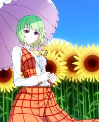  ascot commentary_request female flower green_hair h-new kazami_yuuka photoshop_(medium) plaid plaid_vest red_eyes shirt short_hair skirt slit_pupils smile solo sunflower touhou umbrella vest 