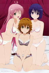  3girls bed blush bra breasts brown_hair cleavage genderswap_(mtf) lala_satalin_deviluke large_breasts lingerie long_hair looking_at_viewer multiple_girls non-web_source official_art open_mouth panties pink_hair purple_eyes purple_hair rule_63 sairenji_haruna short_hair smile tail to_love-ru underwear underwear_only yellow_eyes yuusaki_riko 