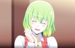  ^_^ ascot blush closed_eyes commentary_request female green_hair h-new happy head_tilt kazami_yuuka open_mouth own_hands_clasped own_hands_together photoshop_(medium) shirt smile solo touhou upper_body vest 