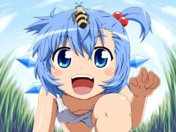  :d alternate_hairstyle bee blue_eyes blue_hair blush_stickers breasts bug cirno commentary_request downblouse extended_downblouse female grass hair_bobbles hair_ornament ice ice_wings open_mouth panties shirosato side_ponytail small_breasts smile solo striped_clothes striped_panties touhou underwear wings 