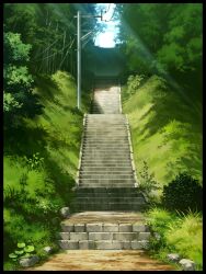  bamboo bamboo_forest border commentary_request forest grass mocha_(cotton) nature no_humans original outdoors power_lines scenery stairs sunlight tree 