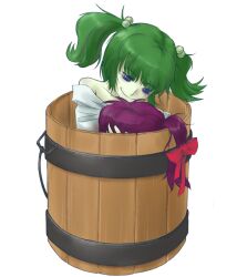  2girls bags_under_eyes blood bucket character_request collarbone commentary_request green_hair hair_bobbles hair_ornament in_bucket in_container kisume multiple_girls off_shoulder purple_eyes purple_hair severed_head short_hair smile takahashi_note touhou transparent_background twintails wooden_bucket yandere 