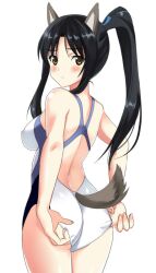  adjusting_clothes adjusting_swimsuit alternate_costume animal_ears ass back bangs black_hair blue_ribbon blue_swimsuit blush breasts brown_eyes closed_mouth competition_swimsuit covered_nipples cowboy_shot dog_ears dog_tail embarrassed eyebrows_visible_through_hair from_behind frown hair_ribbon hattori_shizuka high_ponytail impossible_clothes impossible_swimsuit kyougoku_shin legs_together long_hair looking_at_viewer looking_back medium_breasts multicolored multicolored_clothes one-piece_swimsuit parted_bangs ponytail raised_eyebrows ribbon shiny shiny_hair sidelocks simple_background solo standing straight_hair strike_witches swimsuit tail tail_through_clothes thighs white_swimsuit world_witches_series 