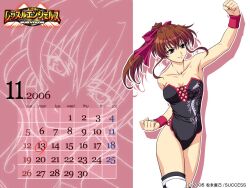  2006 arm_up artist_request blue_eyes bow breasts brown_hair calendar_(medium) cleavage female hairbow leotard long_hair medium_breasts november ponytail solo thunder_ryuko wrestle_angels wrestle_angels_survivor wrestler wrestling_outfit 