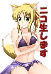  animal_ears bad_id bad_pixiv_id beach bikini blonde_hair breast_hold breasts cleavage dog_days female fox_ears fox_tail fuuma_nagi green_eyes hair_ribbon large_breasts navel ponytail print_sarong purple_bikini purple_sarong ribbon sarong simple_background smile solo sweat swimsuit tail tail_raised white_background yukikaze_panettone 