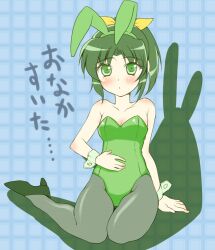  alternate_costume animal_ears arakawa_tarou blush bow breasts cleavage commentary_request female green_eyes green_hair green_leotard hairbow leotard medium_breasts midorikawa_nao pantyhose playboy_bunny ponytail precure rabbit_ears shadow sitting smile_precure solo translated wrist_cuffs 