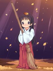  anyannko autumn_leaves bad_id bad_pixiv_id bamboo_broom black_hair blush broom commentary_request female highres japanese_clothes leaf leaf_on_head lolicon long_hair long_sleeves looking_at_viewer miko original oversized_clothes parted_lips photoshop_(medium) purple_eyes shirt skirt solo wide_sleeves 