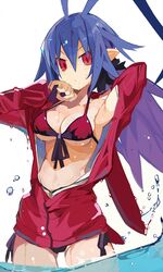  bikini blue_hair breasts demon_girl disgaea disgaea_d2 female hair_between_eyes jacket laharl laharl-chan long_hair looking_at_viewer medium_breasts miyakawa106 pointy_ears red_bikini red_eyes red_jacket simple_background solo swimsuit wading water wet wet_hair white_background 